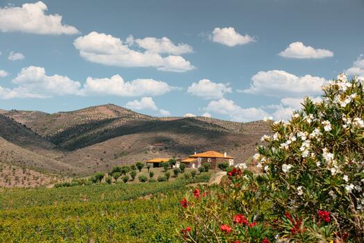 Quinta de Ervamoira – Visita & Prova Duas Quintas 