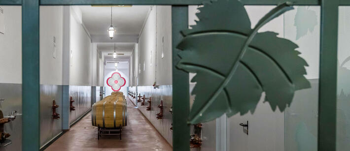 Lusovini – Visit & Special Edition Tasting
