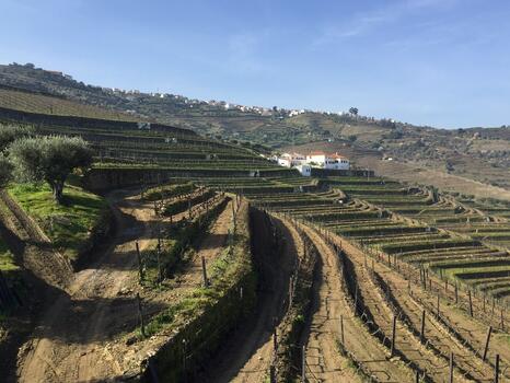 Quinta da Côrte – Visita & Prova Créative