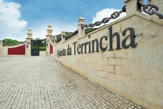 Quinta da Terrincha – Prova Wine Curious