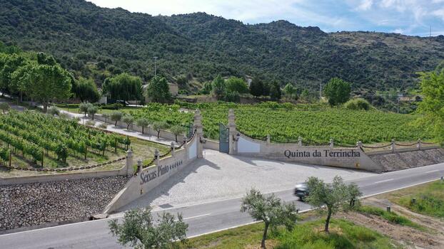 Quinta da Terrincha – Prova Special Wine