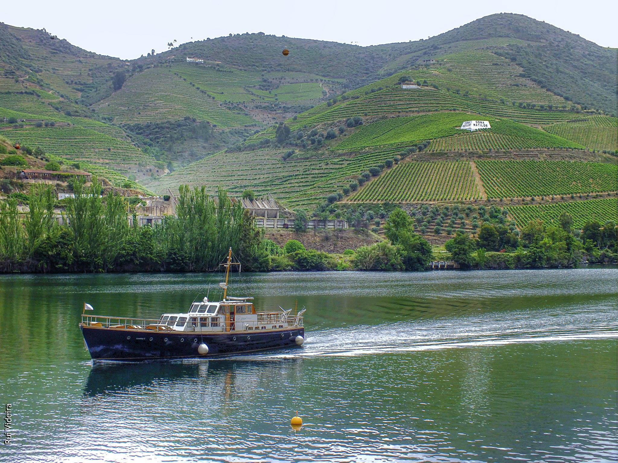A Day in the Douro