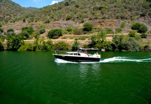 Paseo Regular en Barco Vintage en el Douro