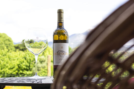 Quinta da Chouza - Tour & Vertical Tasting