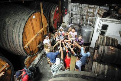 Quinta do Beijo - Visita Premium