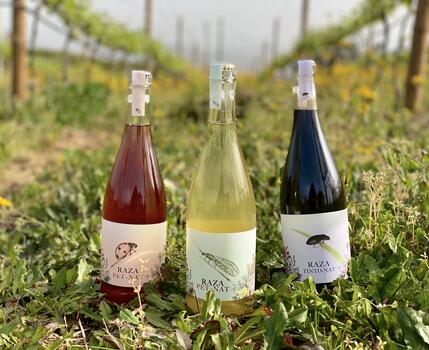 Quinta da Raza - Natural Wines Tasting