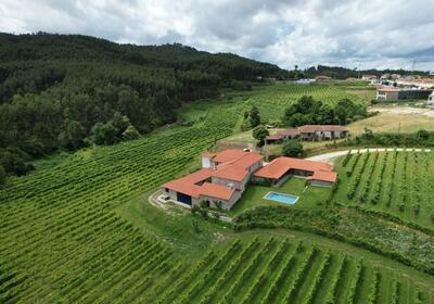 Sem Igual - Visit & Tasting of 5 Wines