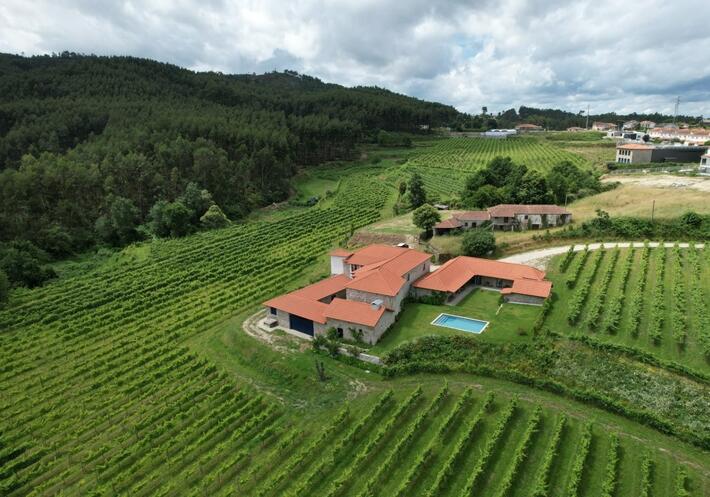Sem Igual - Visit & Tasting of 5 Wines