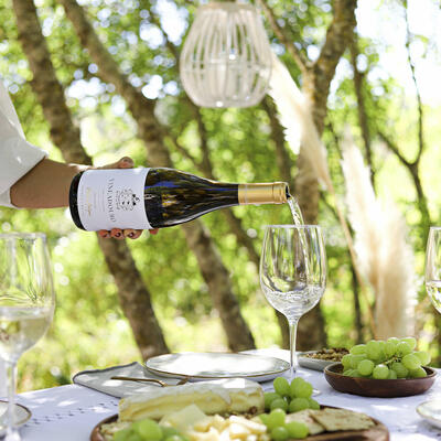 Quinta da Vineadouro - Lunch & Visit