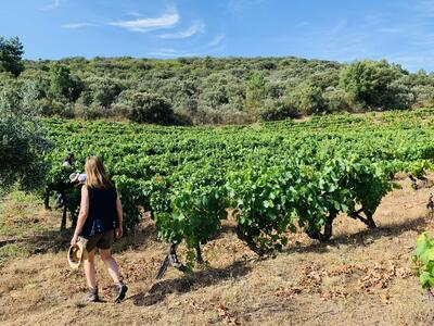 Quinta da Vineadouro - Walking & Picnic