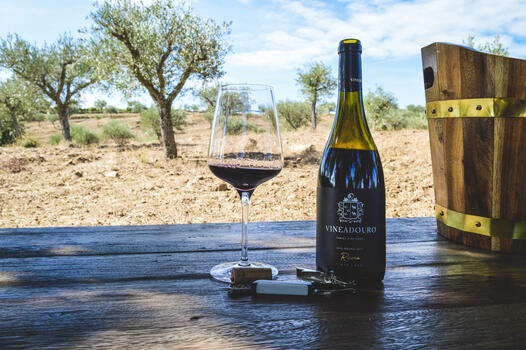 Quinta da Vineadouro - Wine Tasting & Lunch