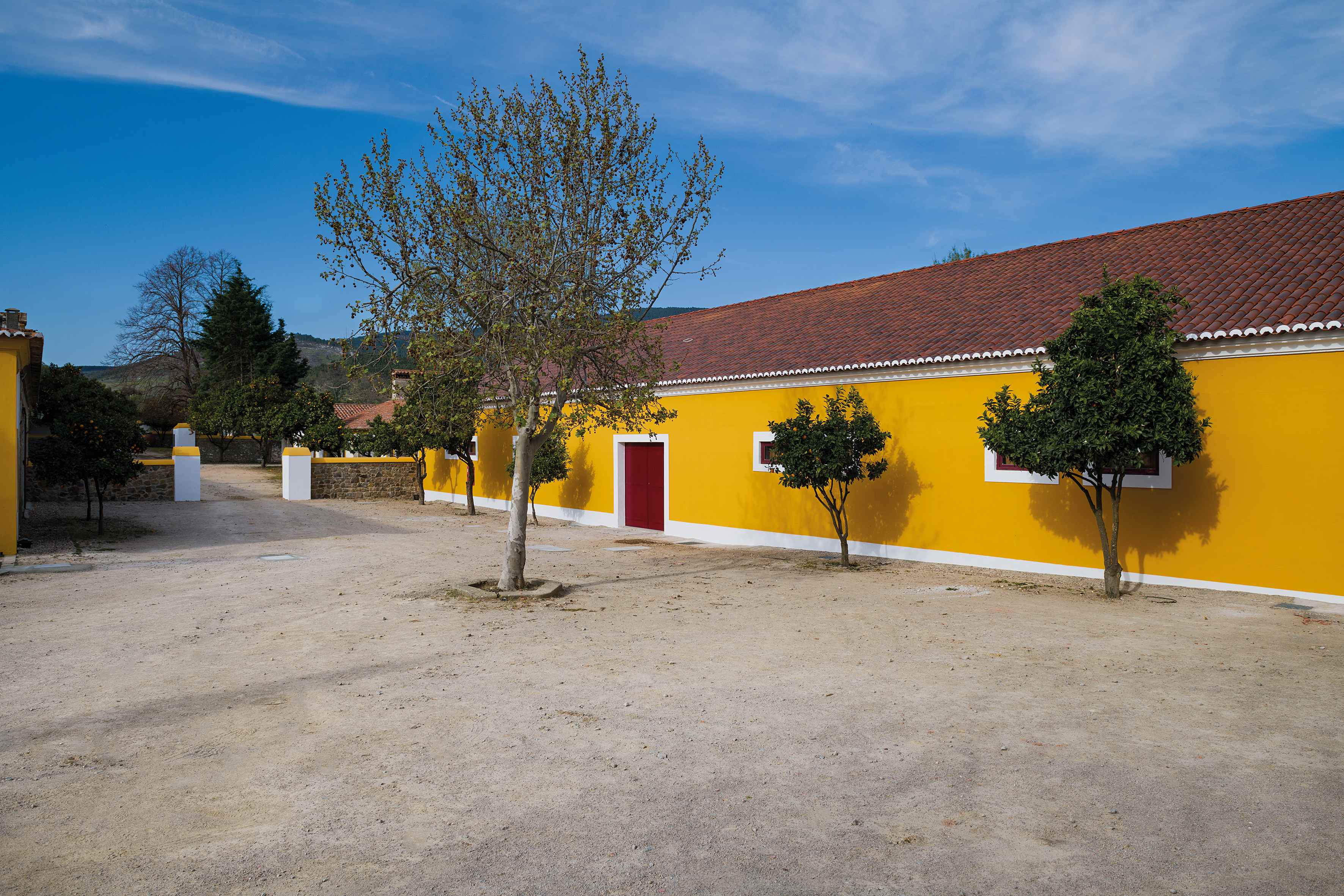 Quinta da Fonte Souto - Visit & Classic Tasting 
