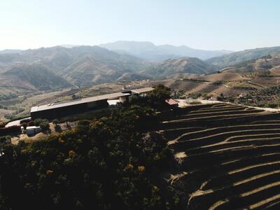 Adega H.O – Visita & Prova Reserva 