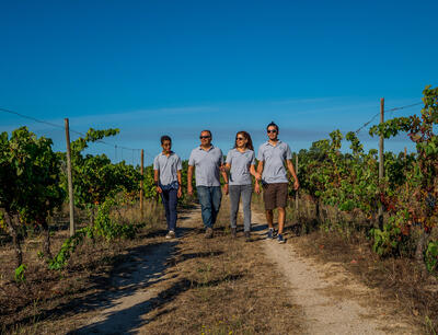 Textura Wines – Tour & Textura Tasting 