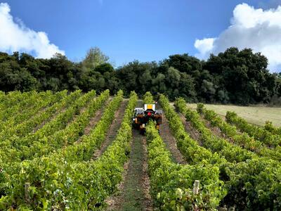 Quinta do Cerrado da Porta - Experts Tasting