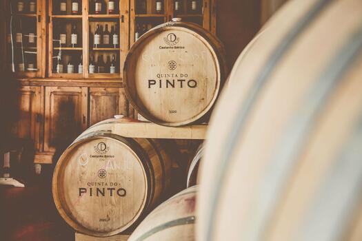 Quinta do Pinto - Lisbon Tour