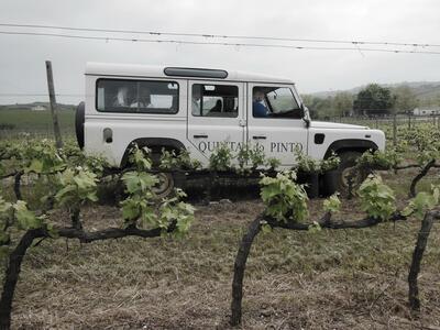 Quinta do Pinto - Signature Tour 
