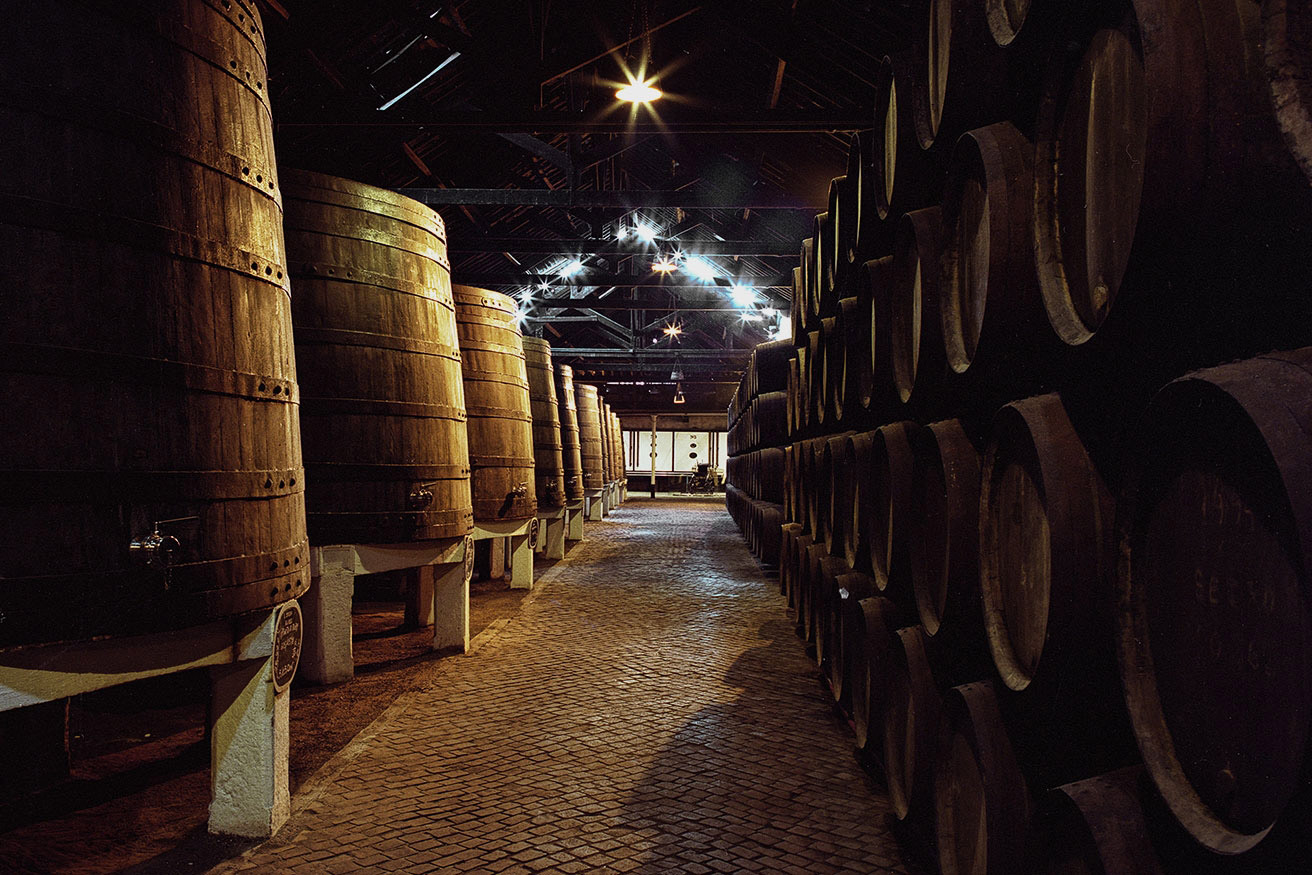Caves Ferreira - Exclusive Tour
