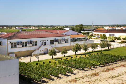 Casa Ermelinda Freitas - Visit & Premium Tasting 