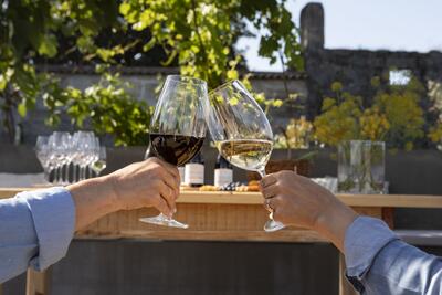 Chão de São Francisco - Great Reserve Tasting