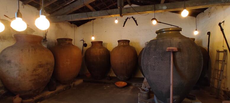 Herdade do Rocim - Amphora Wine Tour