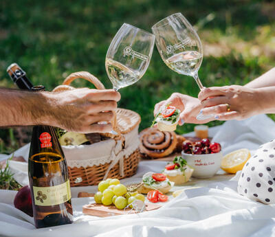 Quinta da Lixa - Visit & "Novos Rumos" Tasting