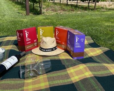 Filipe Palhoça Wines - Picnic in the Vineyards