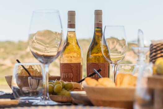 Arvad Wine – Visita & Prova da Descoberta