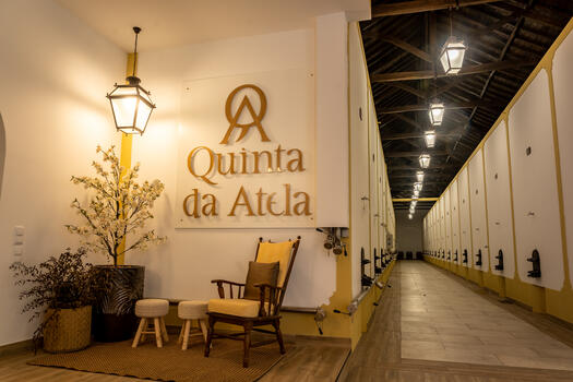 Quinta da Atela - Tour & Origins Tasting