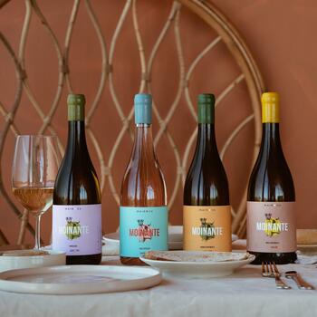 MAINOVA - Visita & Prova de Vinho Superior 