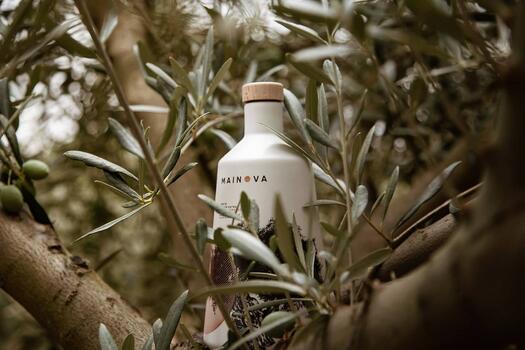 MAINOVA - Prova de Vinho & Azeite