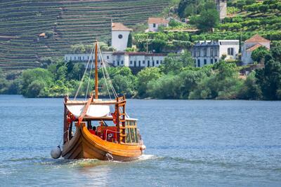 Douro Valley Wine Tour - Privado