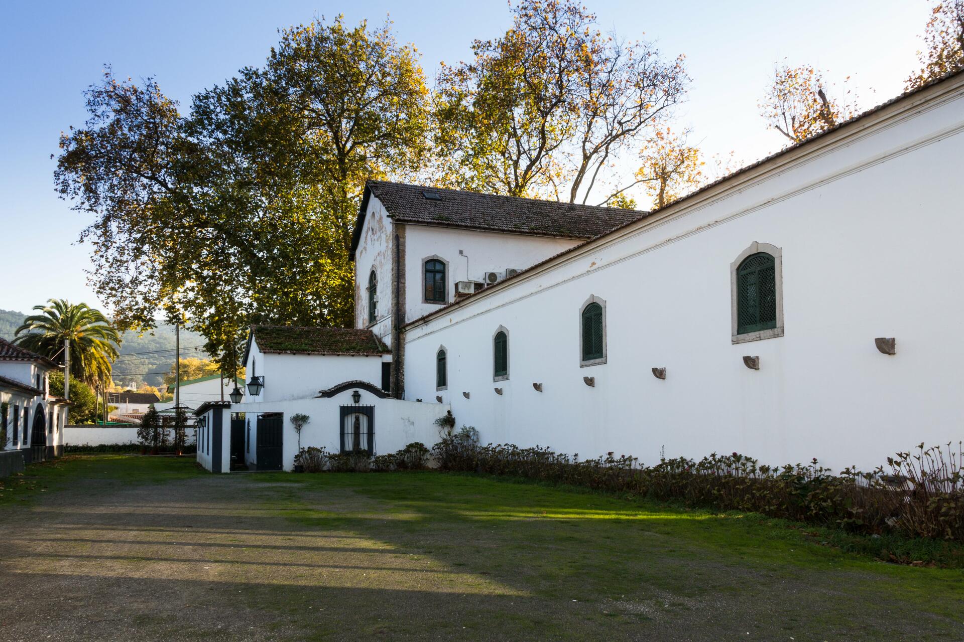 Adega de Colares – Tour & Delux Wine Tasting