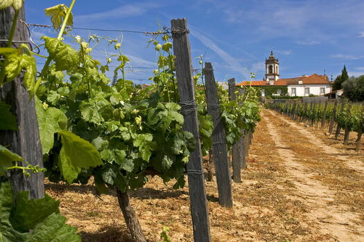 Lavradores de Feitoria – Visita & Prova Conceito
