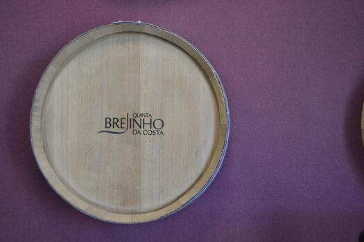 Brejinho da Costa - Visit & "Colheita" Tasting