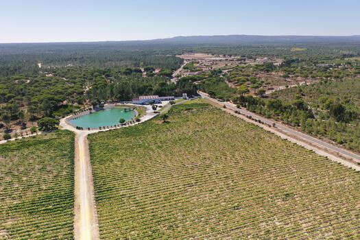 Brejinho da Costa - Visit & "Reserva" Tasting