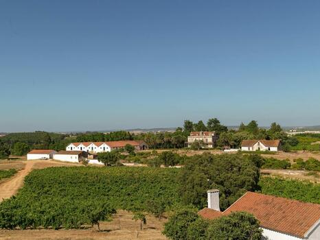 Quinta São João Batista - Pruning Experience