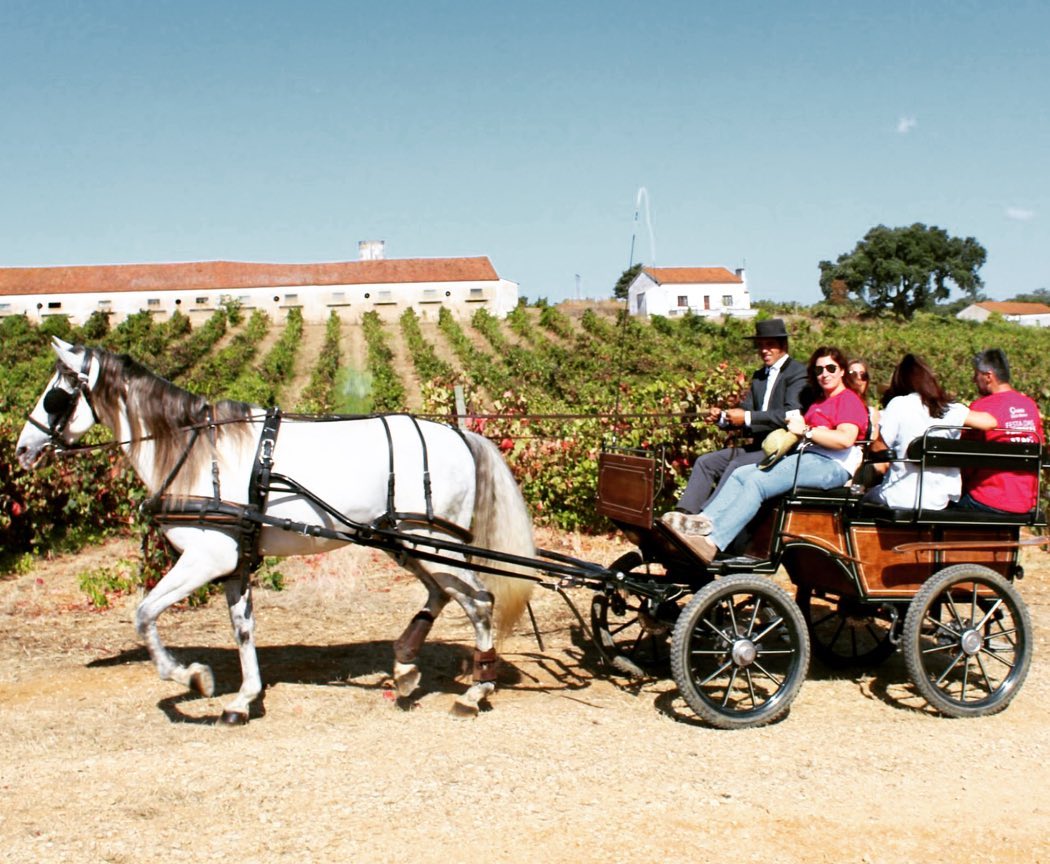 Quinta São João Batista - Horse-Drawn Carriage Ride – Torres Novas, Tejo