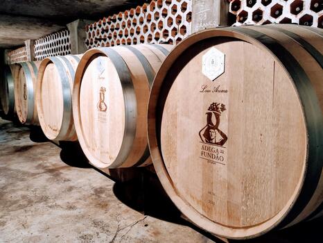 Adega do Fundão - Visit & Tasting of 5 Wines 