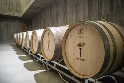 Torre de Palma - Workshop "Haz Tu Proprio Vino"