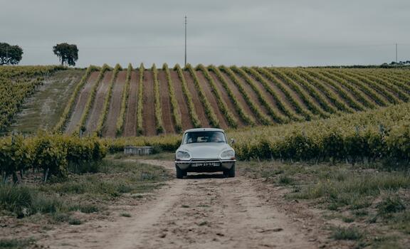 Quinta da Almiara - Classic Car Adventure
