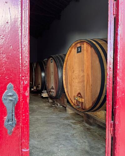 Mouchão - Visita a la Bodega, Viñedos & Cata