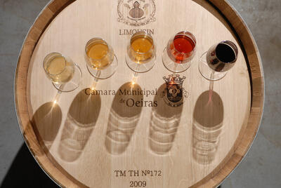 Villa Oeiras - Visit & Fishing House Tasting 