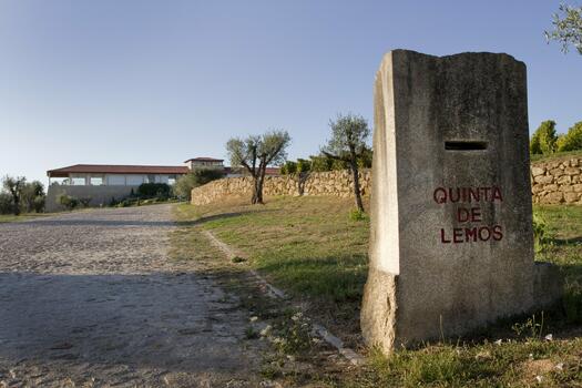 Quinta de Lemos - Tour & Wine Tasting 