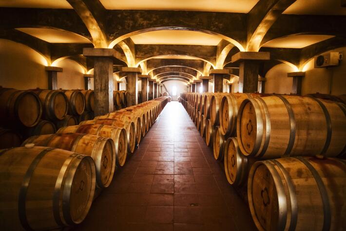 Quinta de Lemos - Tour, Wine Tasting & Snacks