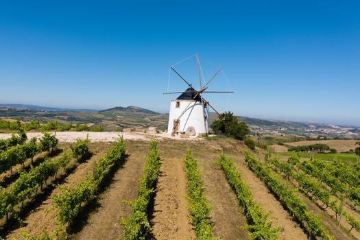 Quinta da Folgorosa - Palette of Folgorosa