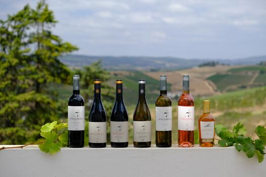 Quinta da Folgorosa - Sensation of the Atlantic