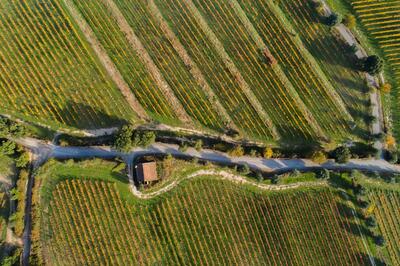 Julia Kemper Wines - Tour & Reserve Tasting