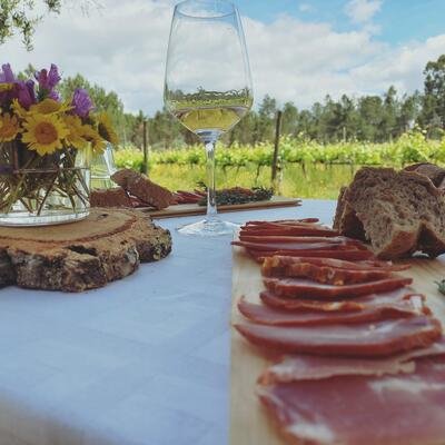 Julia Kemper Wines –  Tour & Wine Meal