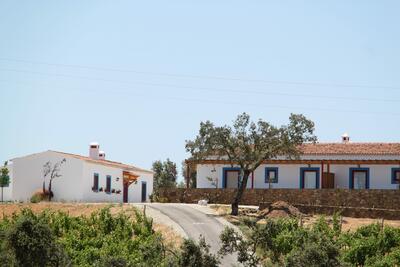Casa da Urra - Visita & Cata de Vinos